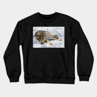 Gray Wolf Crewneck Sweatshirt